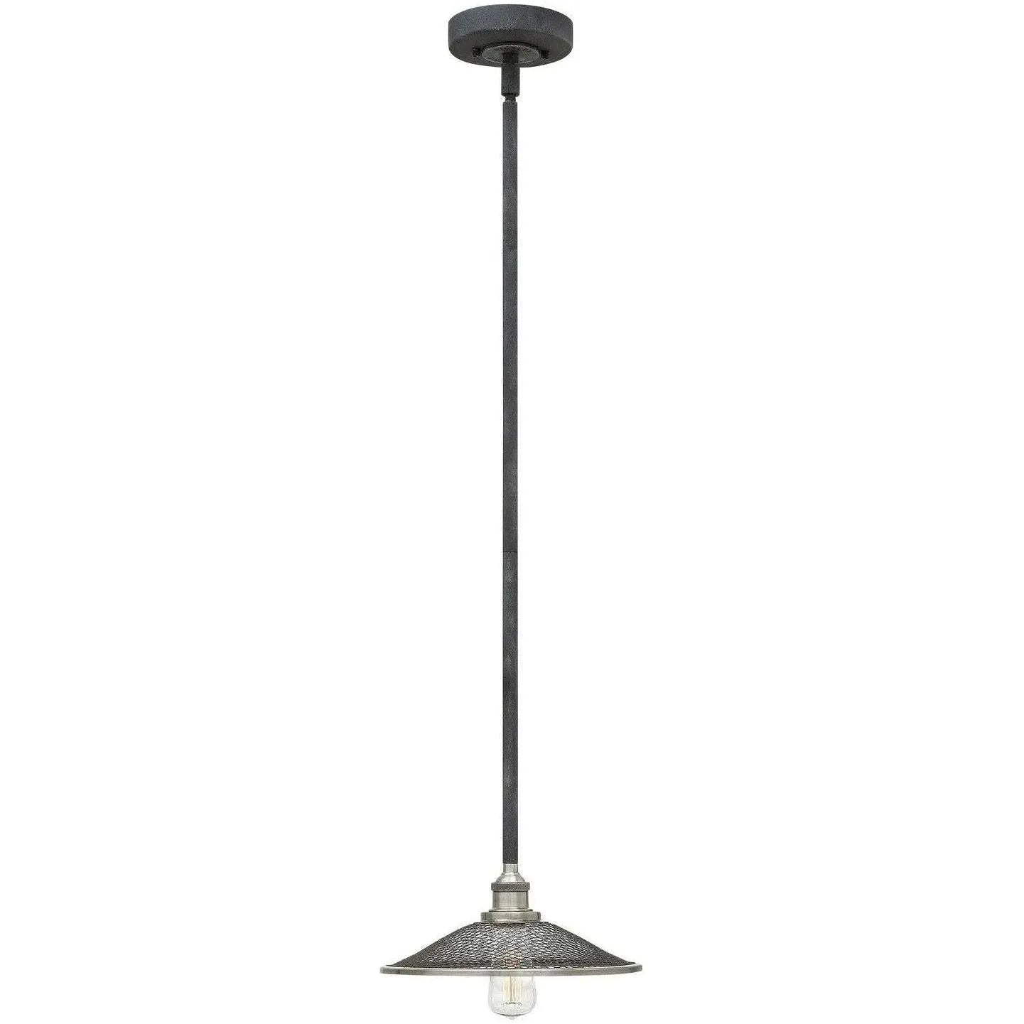 Hinkley Lighting - Rigby 10-Inch Pendant - 4367DZ | Montreal Lighting & Hardware