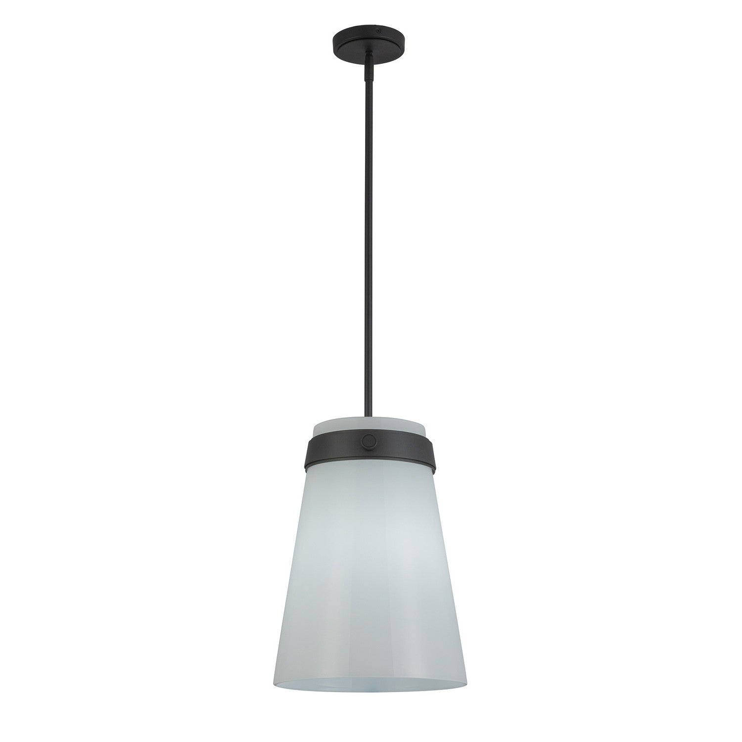 Artcraft Canada - AC10640BK - One Light Pendant - Dahlia - Black