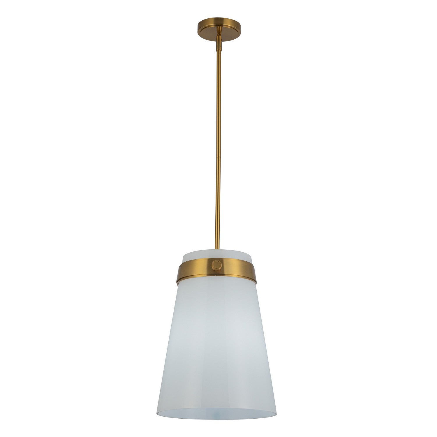 Artcraft Canada - AC10640BR - One Light Pendant - Dahlia - Brushed Brass