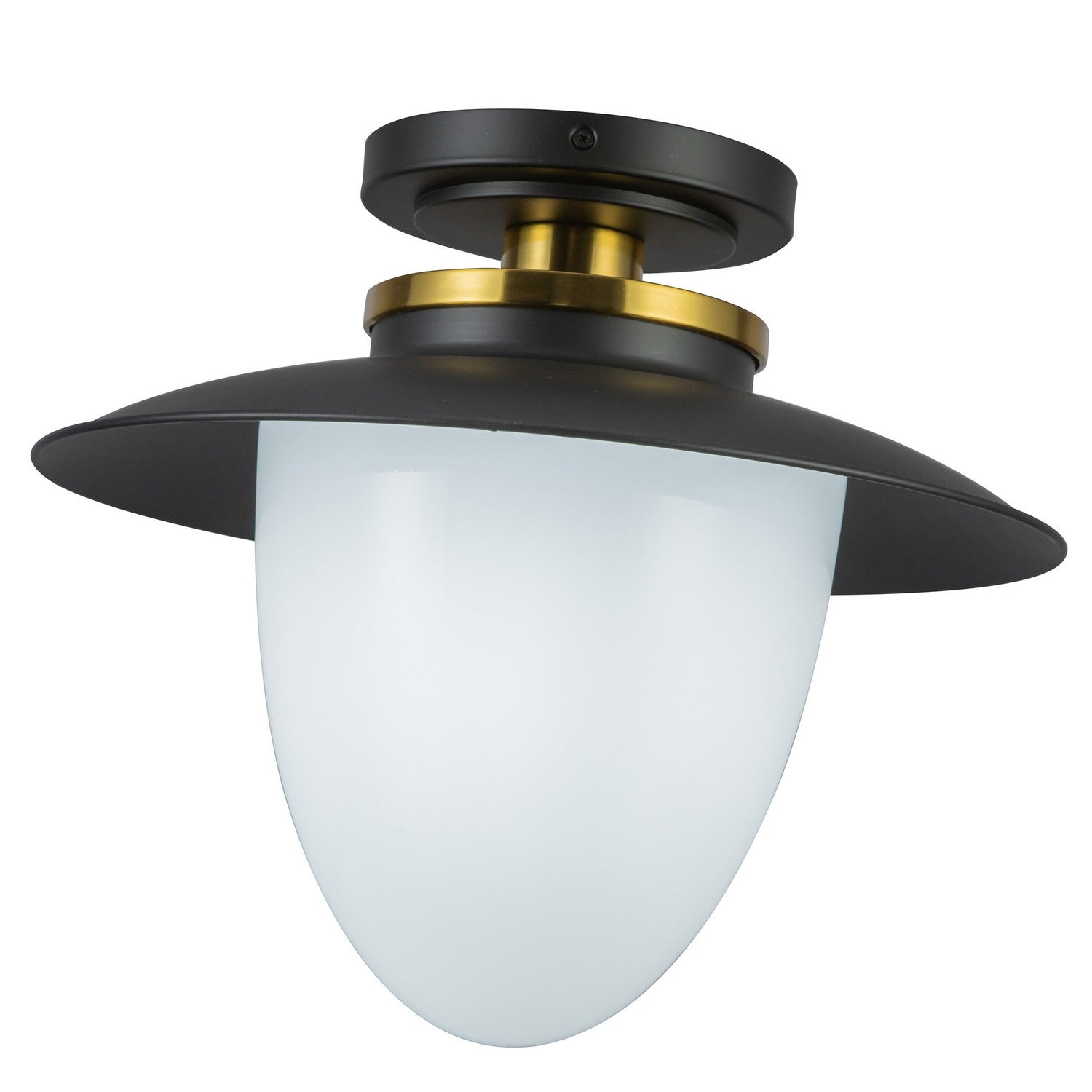 Artcraft Canada - AC11905BB - Une lampe Suspension - Dahlia - Noir