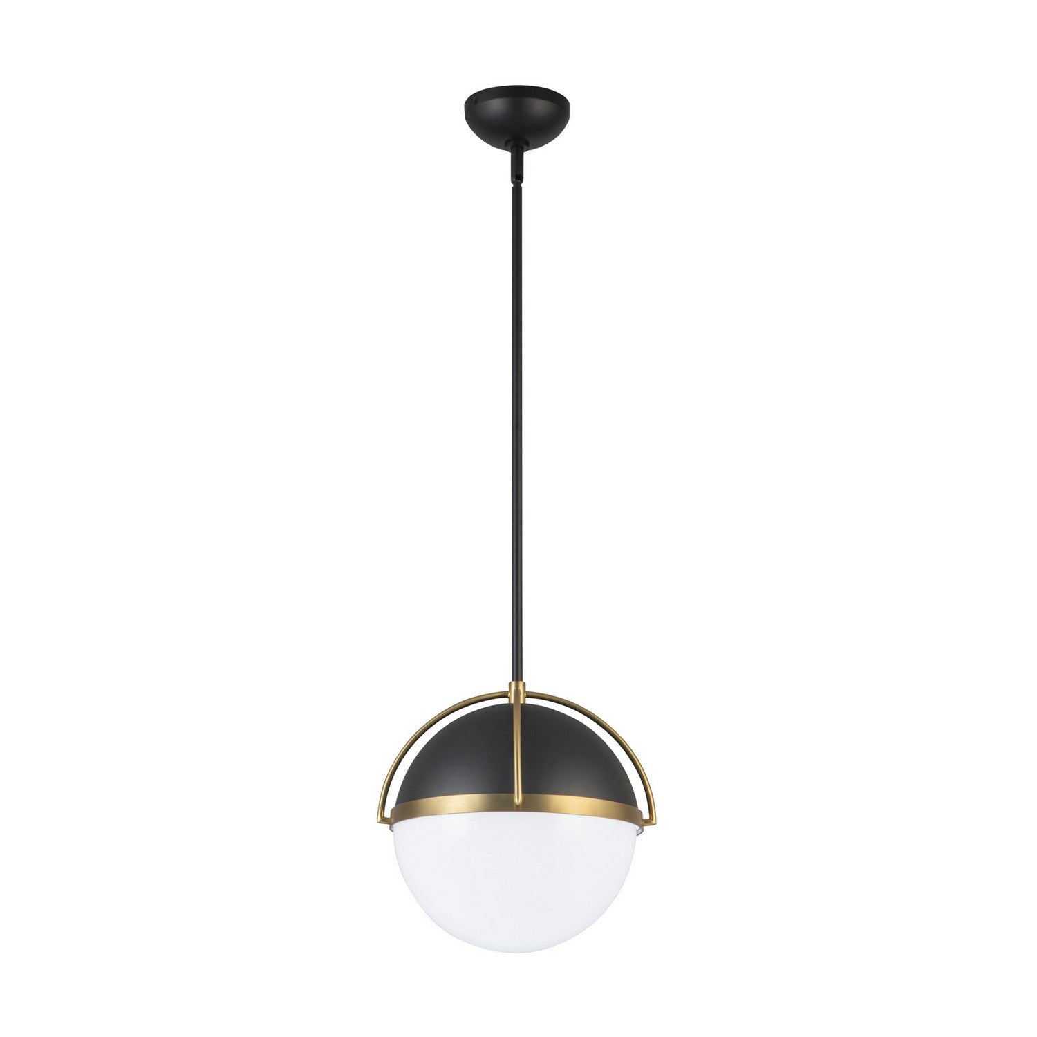 Artcraft Canada - AC12040BB - Une lumière Suspension - Dahlia - Noir, laiton brossé