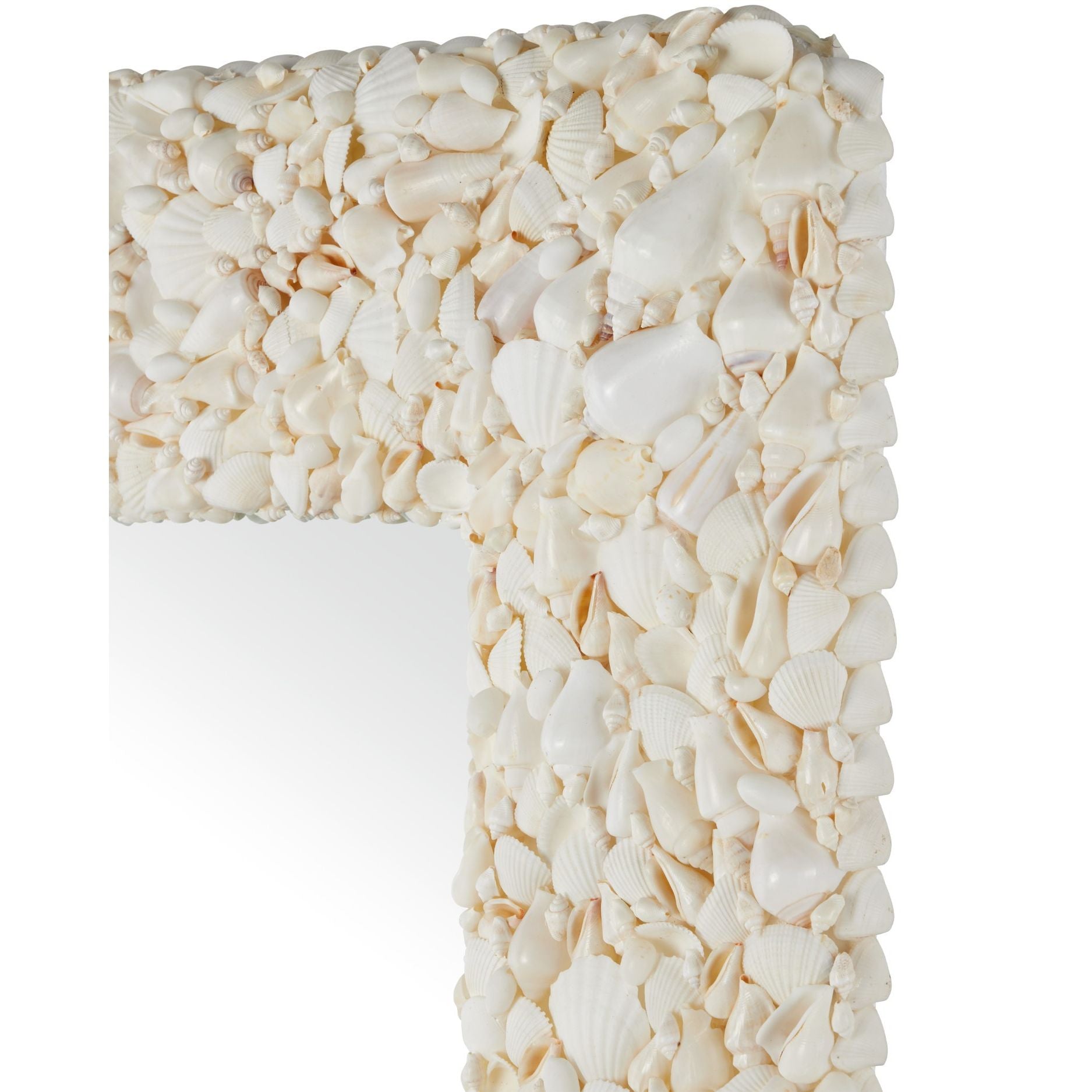 Currey and Company - 1000-0168 - Mirror - Turbinella - Natural