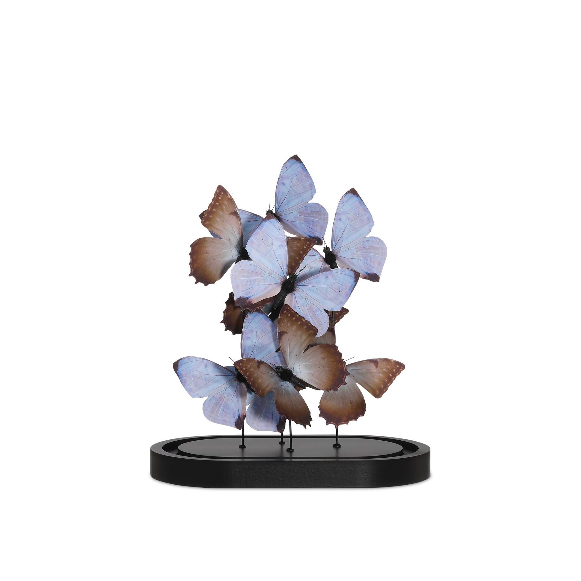 Currey and Company - 1200-0976 - Sculpture - Rue de Bac - Lilas / Marron / Noir / Transparent