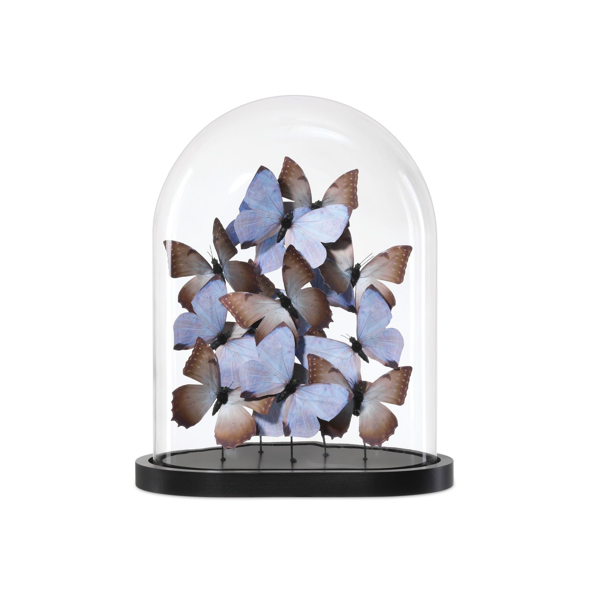 Currey and Company - 1200-0977 - Sculpture - Rue de Bac - Lilas / Marron / Noir / Transparent
