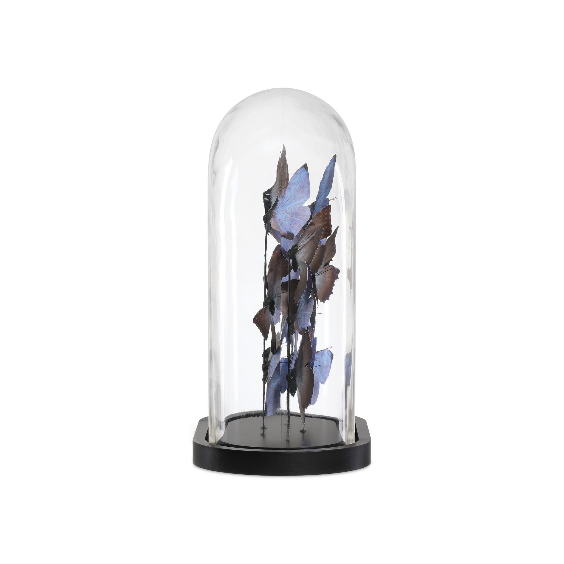 Currey and Company - 1200-0977 - Sculpture - Rue de Bac - Lilas / Marron / Noir / Transparent