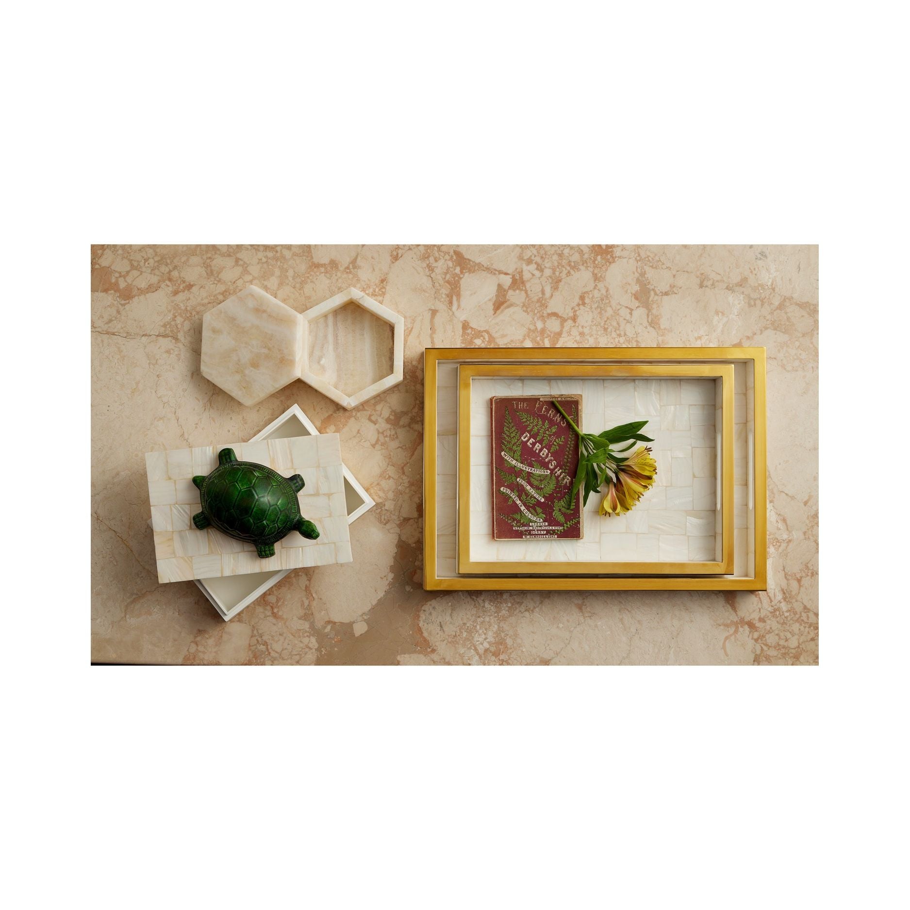 Currey and Company - 1200-1021 - Ensemble de 2 plateaux - Casey - Naturel / Laiton
