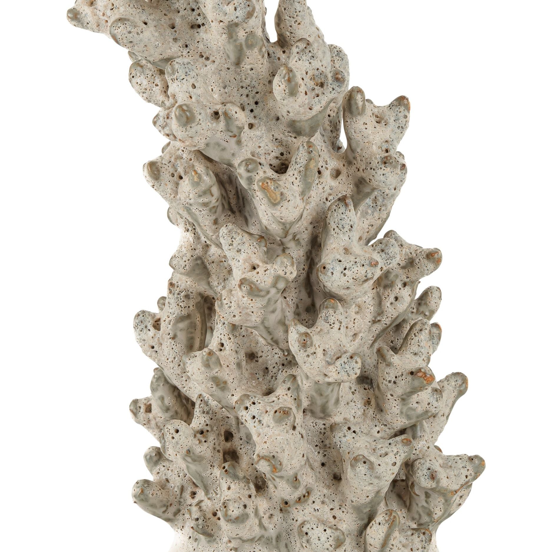 Currey and Company - 1200-1044 - Object - Staghorn - White