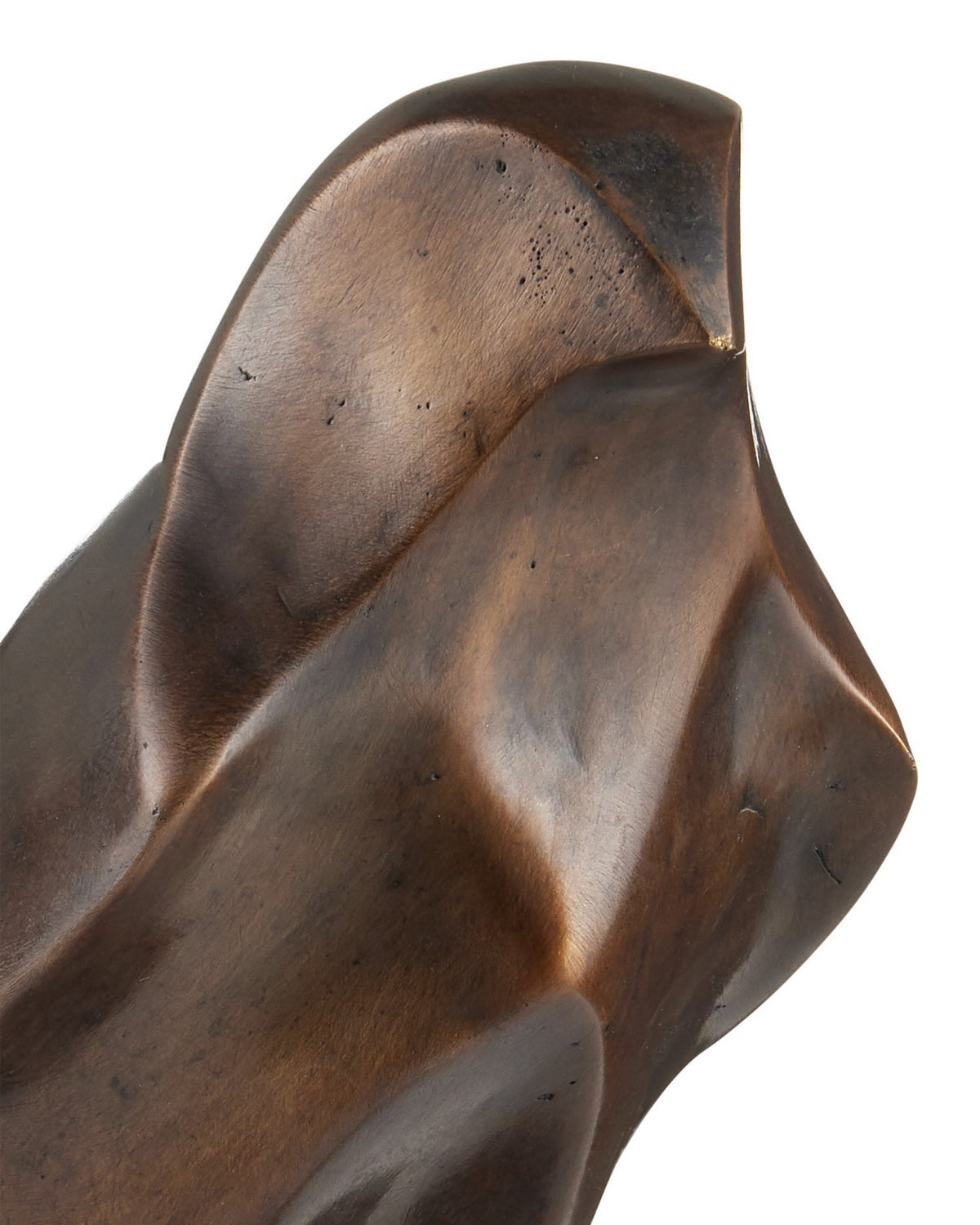 Currey and Company 1200-1058 Oiseau Horus en brun foncé
