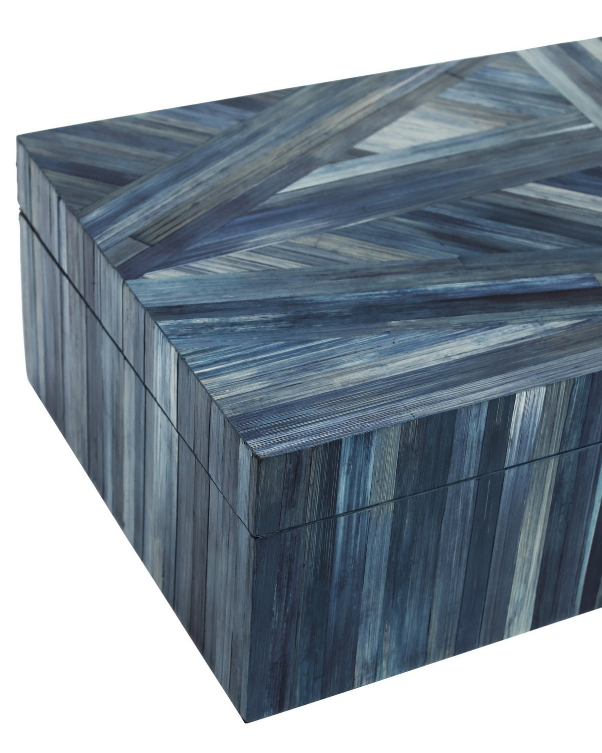 Currey and Company 1200-1067 Winter Harvest Box in Blue