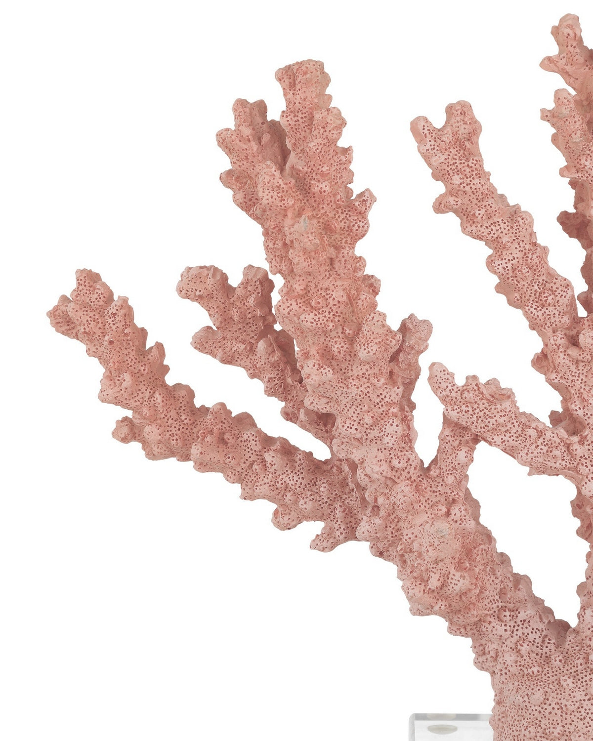 Currey and Company 1200-1083 Fire Coral in Coral/Clear