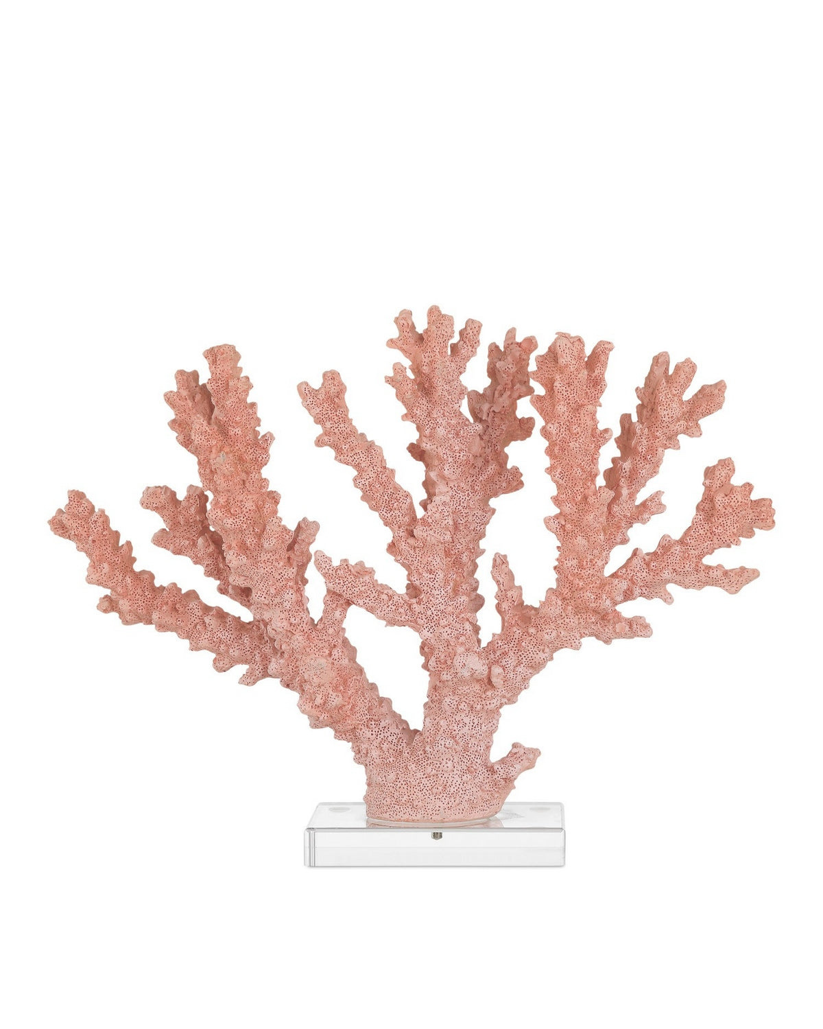 Currey and Company 1200-1083 Fire Coral in Coral/Clear