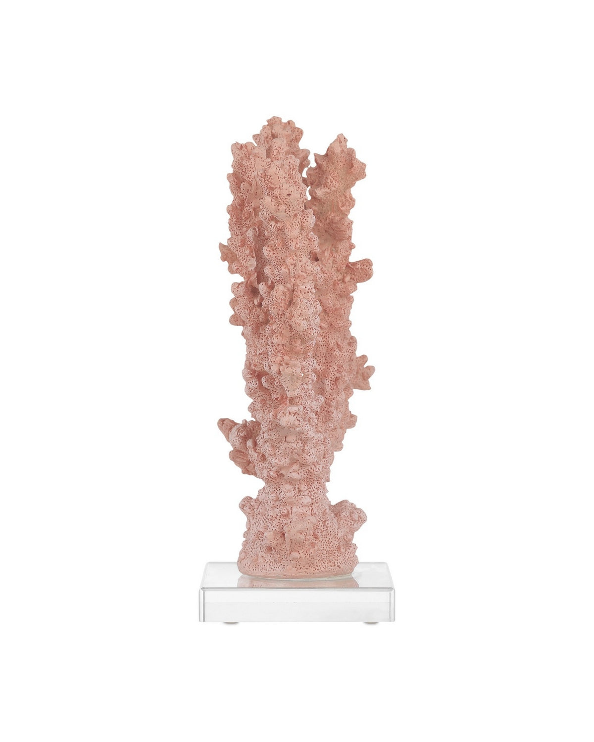 Currey and Company 1200-1083 Fire Coral in Coral/Clear