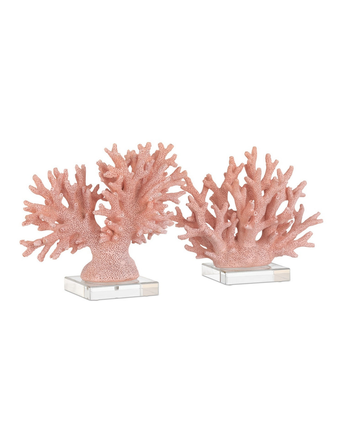 Currey and Company 1200-1083 Fire Coral in Coral/Clear