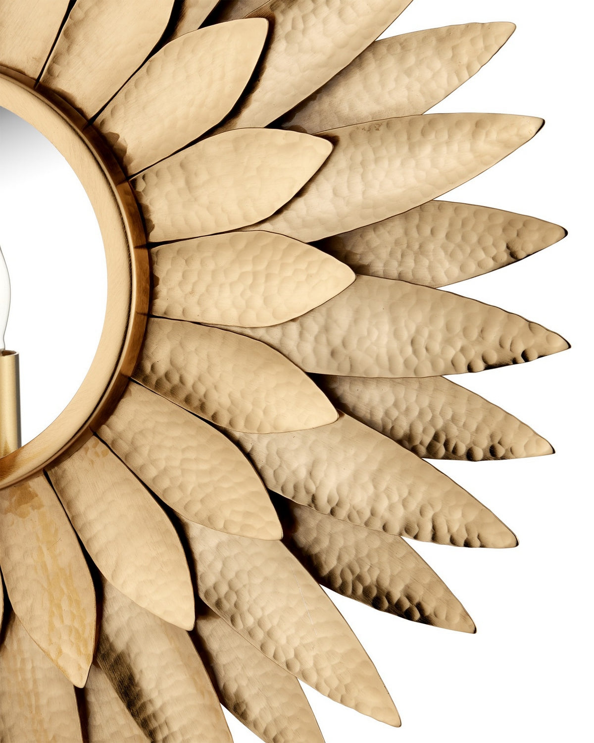 Currey and Company 5000-0300 Plumage Wall Sconce in Antique Brass/Mirror