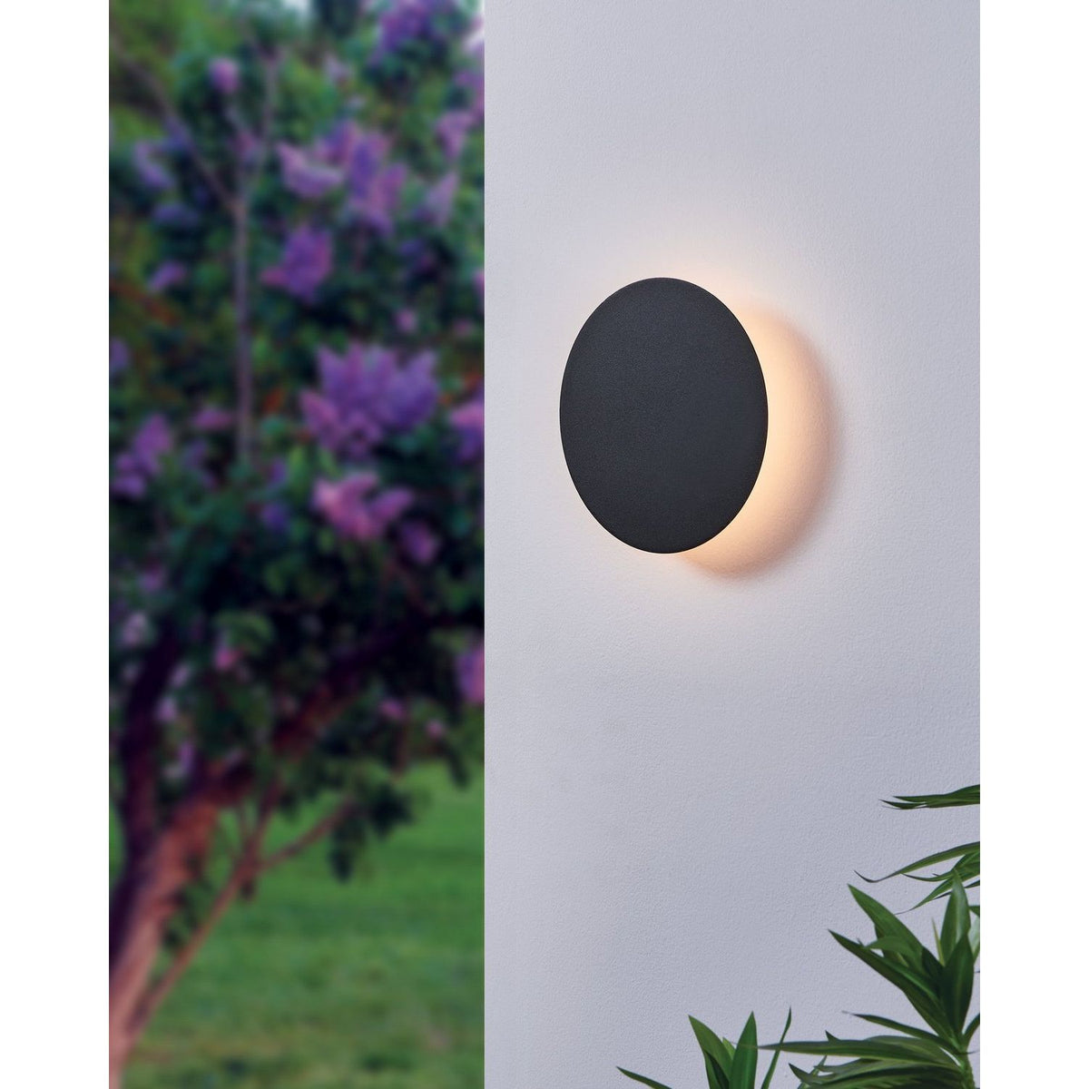 Eglo Canada - 206909A - LED Wall Sconce - Alamilo - Black