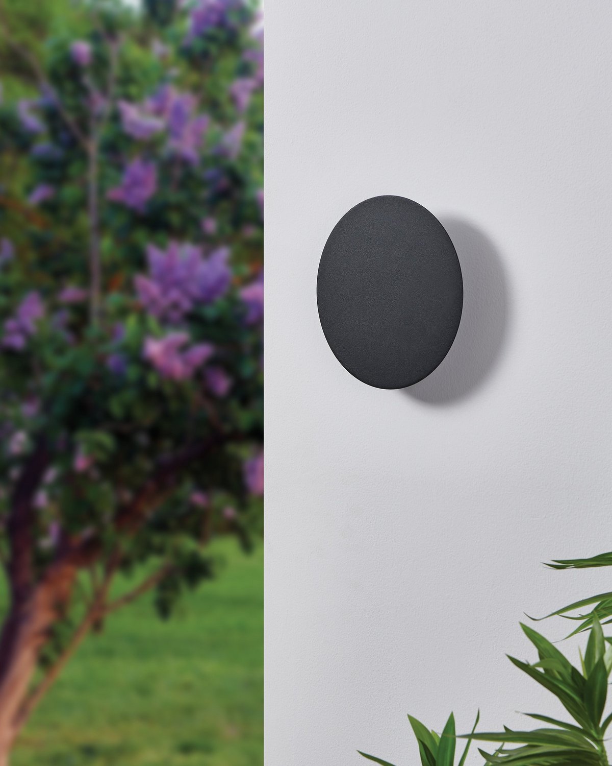 Eglo Canada - 206909A - LED Wall Sconce - Alamilo - Black