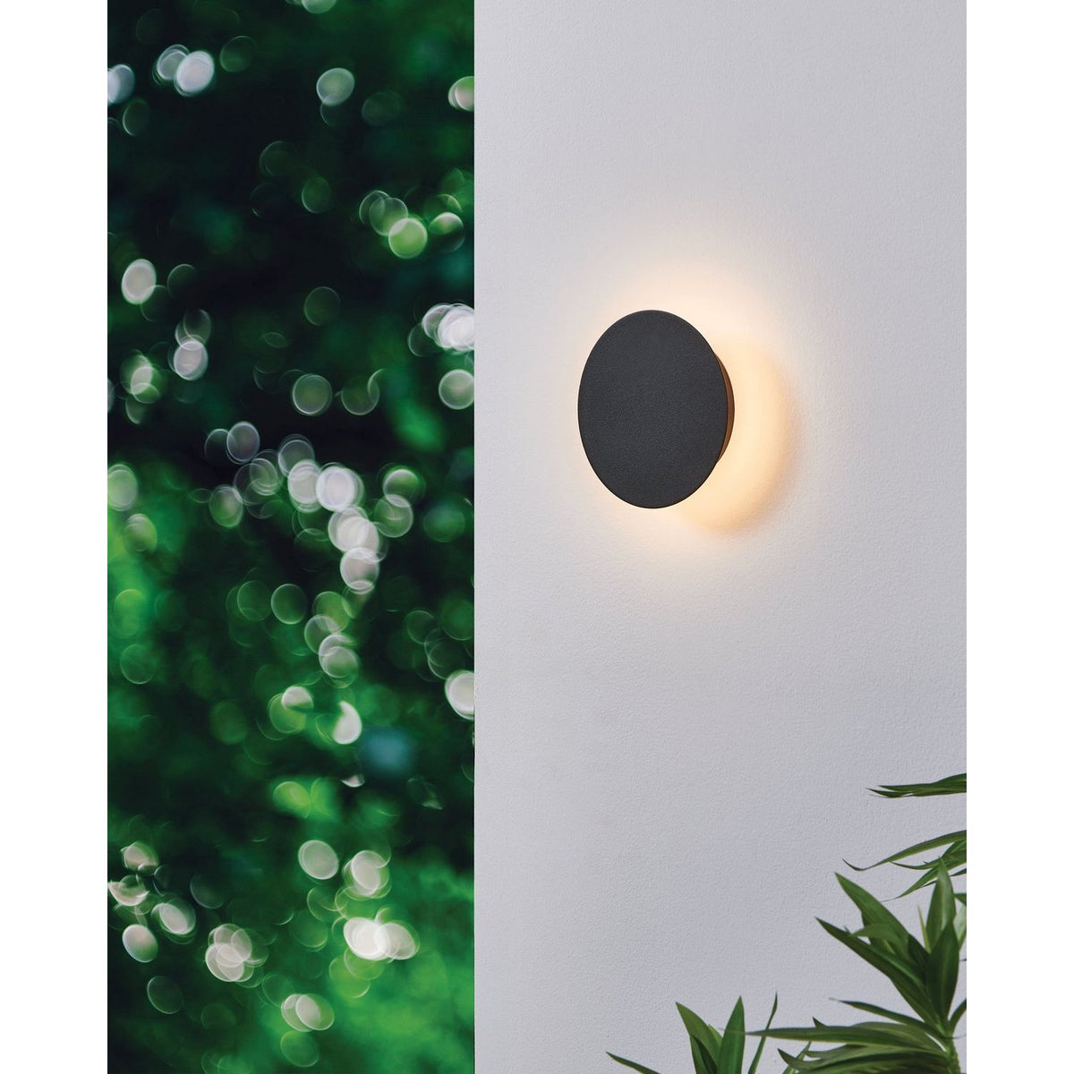 Eglo Canada - 206911A - LED Wall Sconce - Alamilo - Black