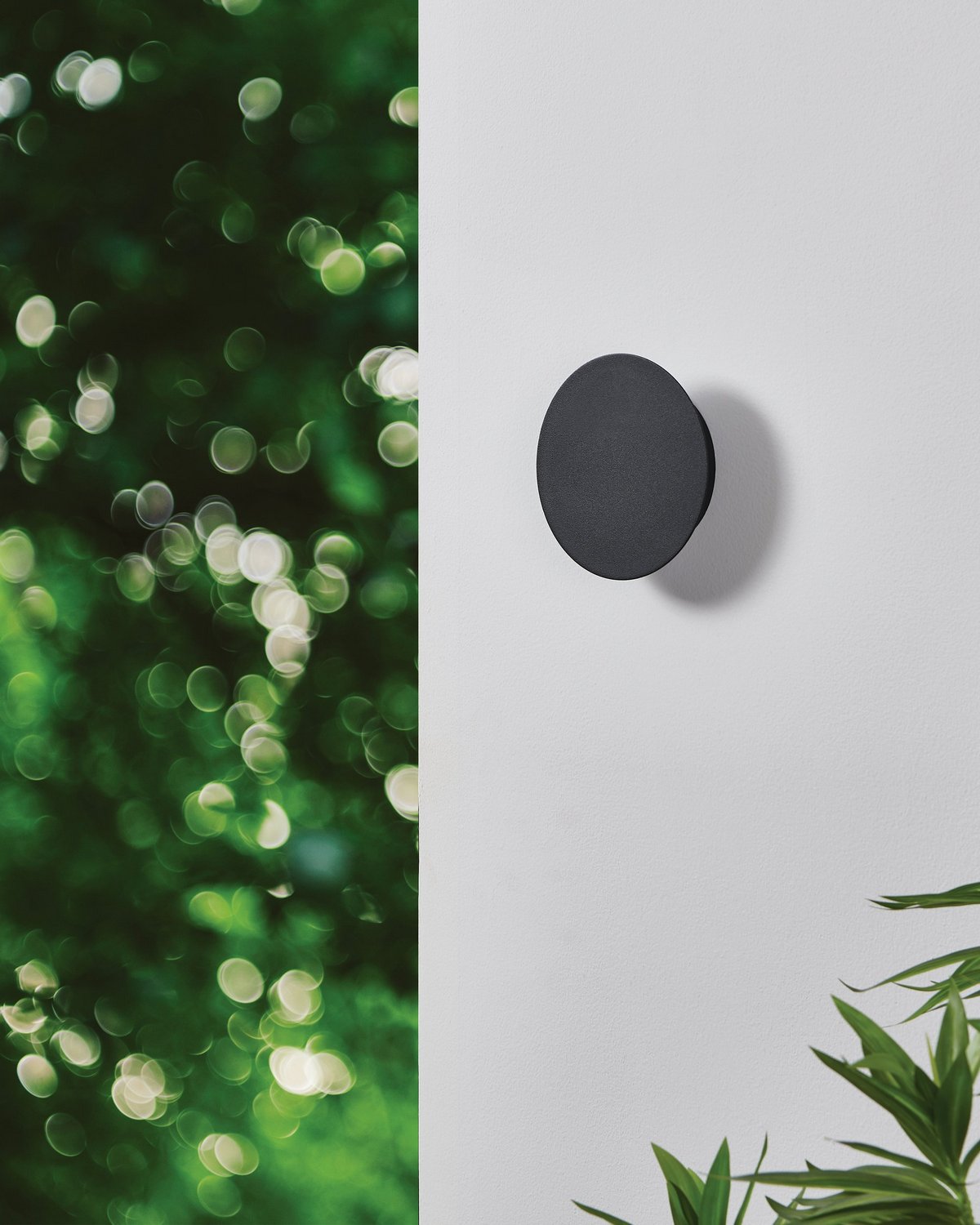 Eglo Canada - 206911A - LED Wall Sconce - Alamilo - Black
