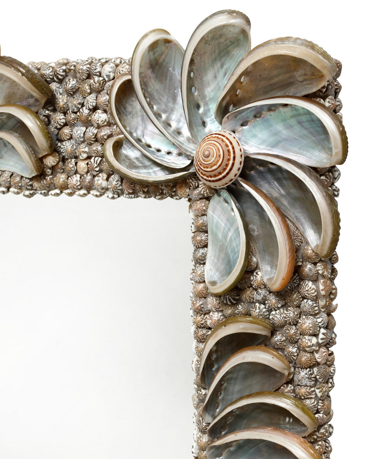 Miroir Halcyon Currey and Company 1000-0175, finition naturelle/argentée