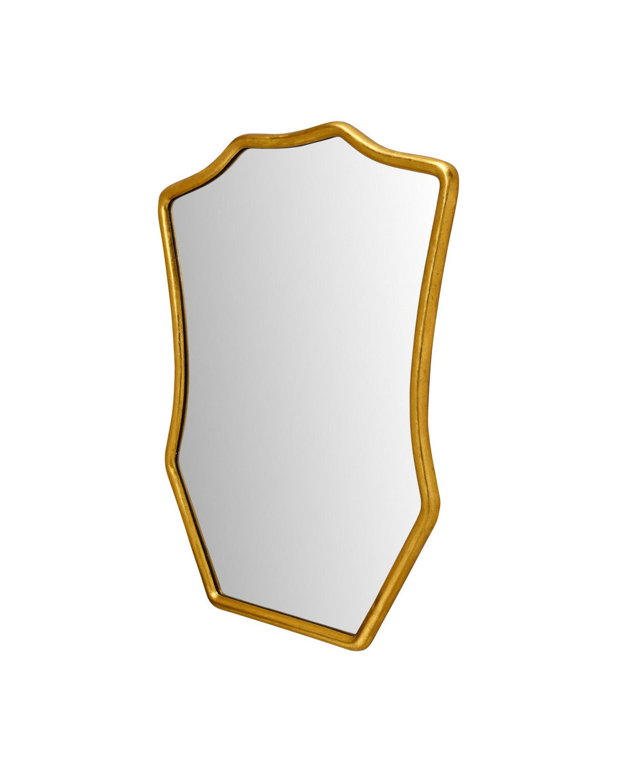 Miroir Aegis de Currey and Company 1000-0181, feuille d'or