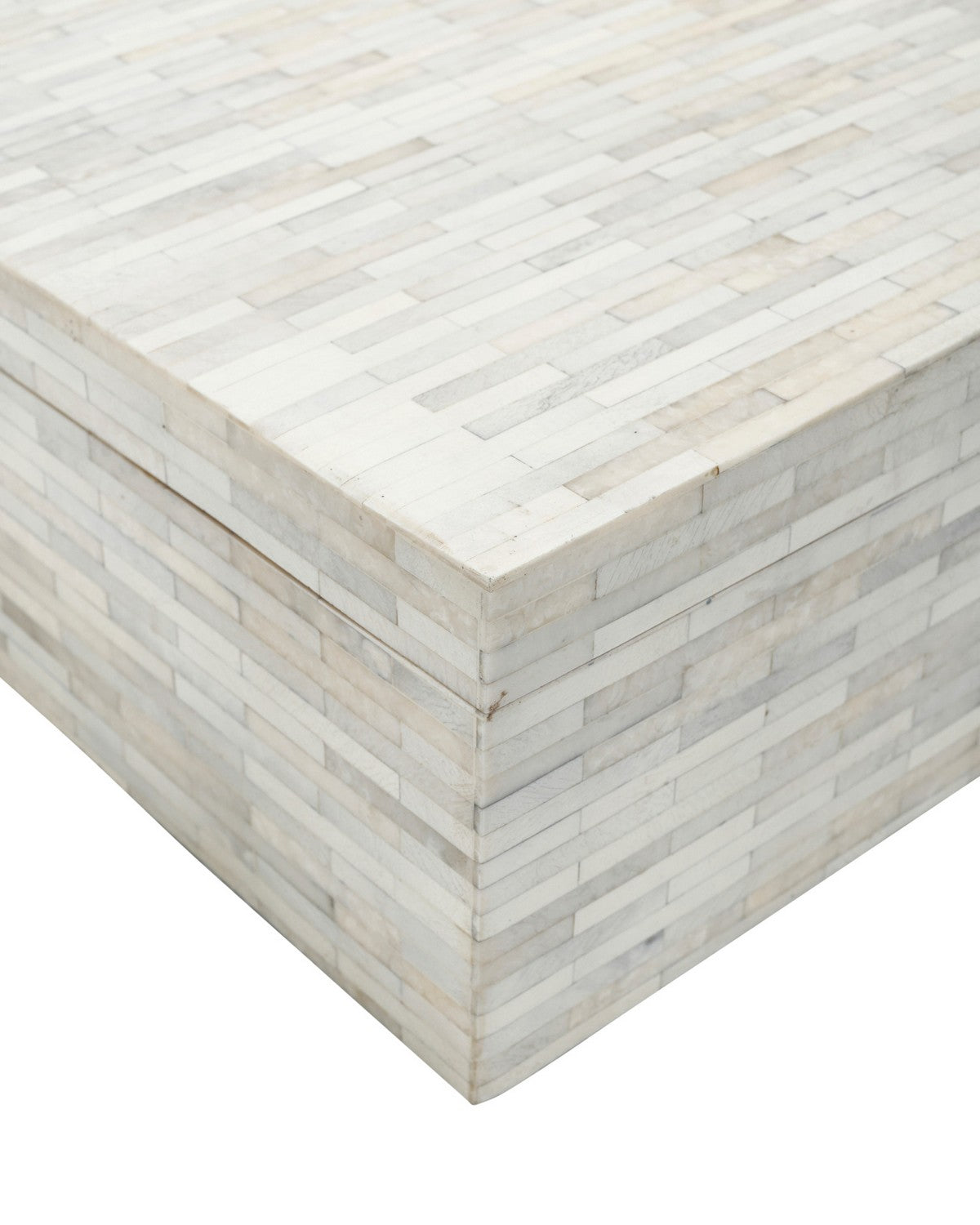 Currey and Company 1200-1131 Prothero Box en naturel