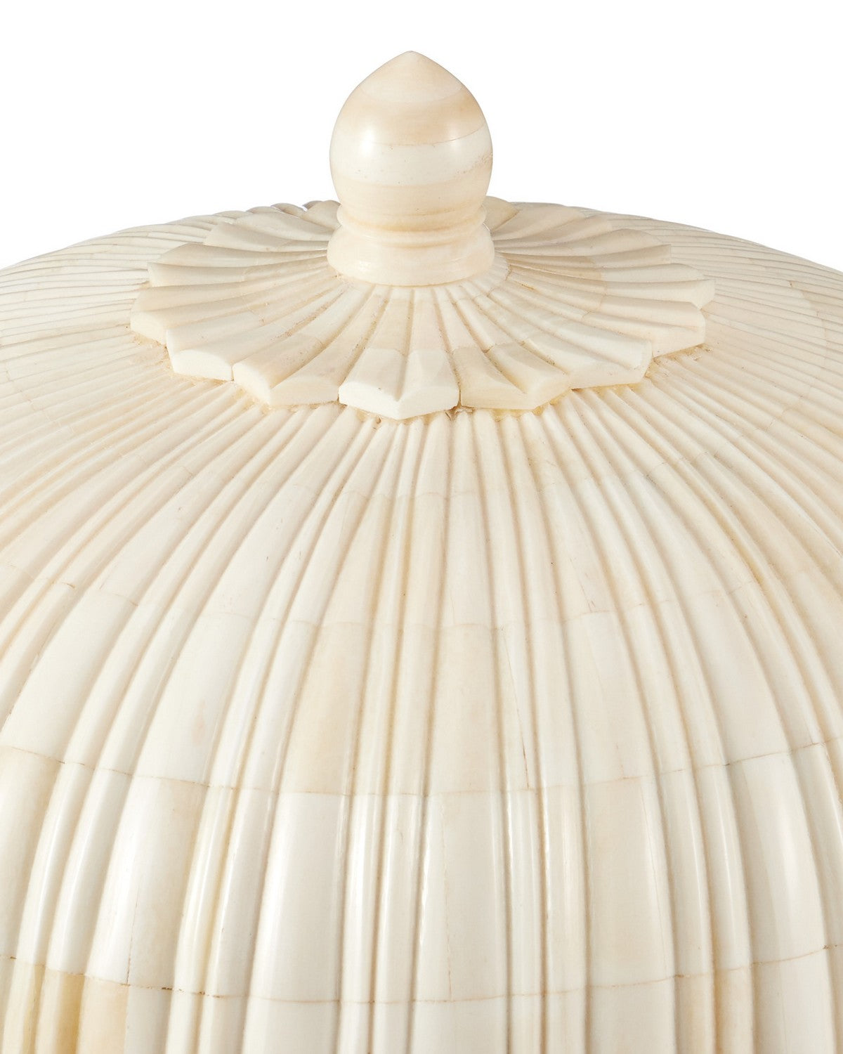 Currey and Company 1200-1140 Surti Box en naturel