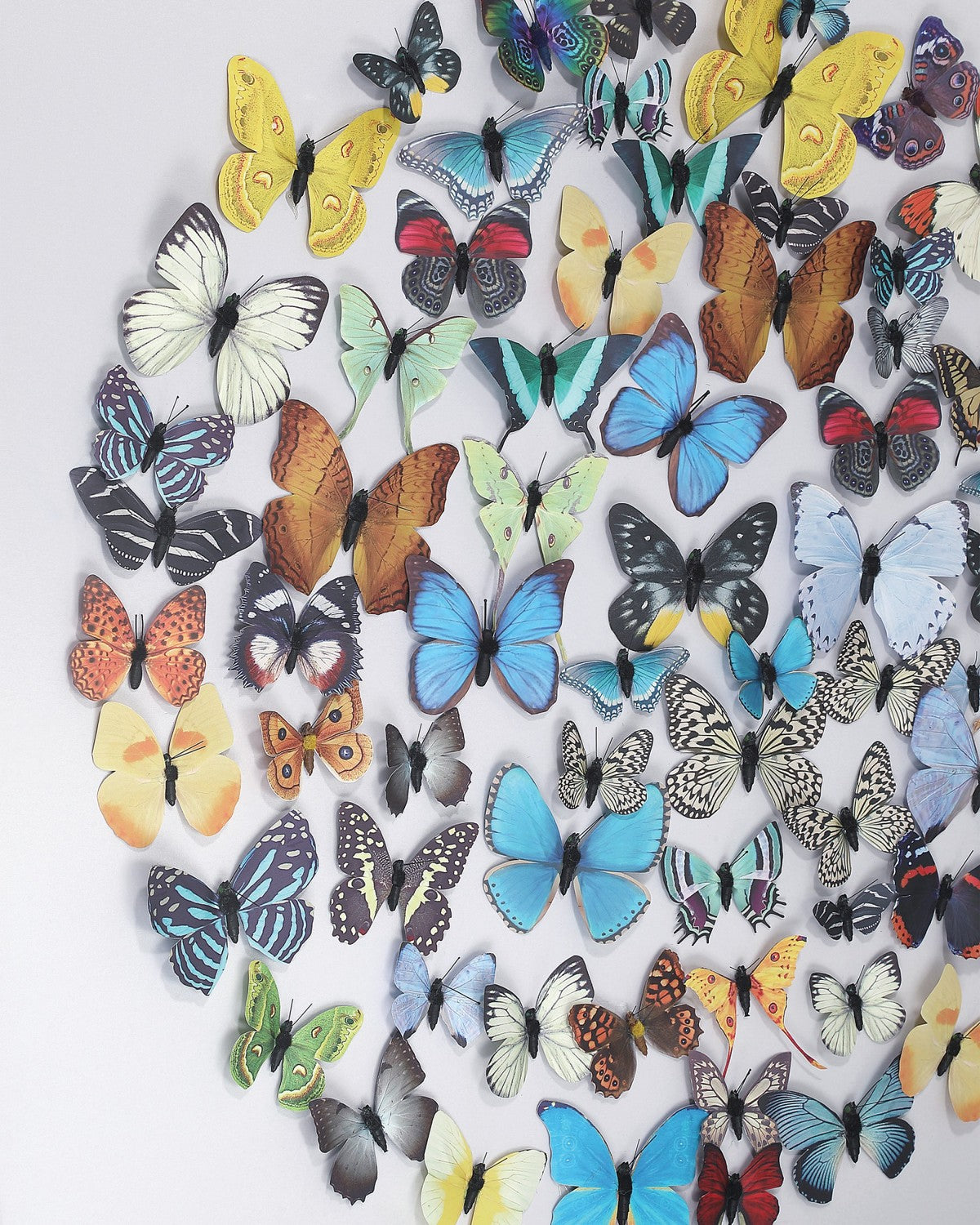 Currey and Company 1200-1172 Chroma Décoration murale multicolore