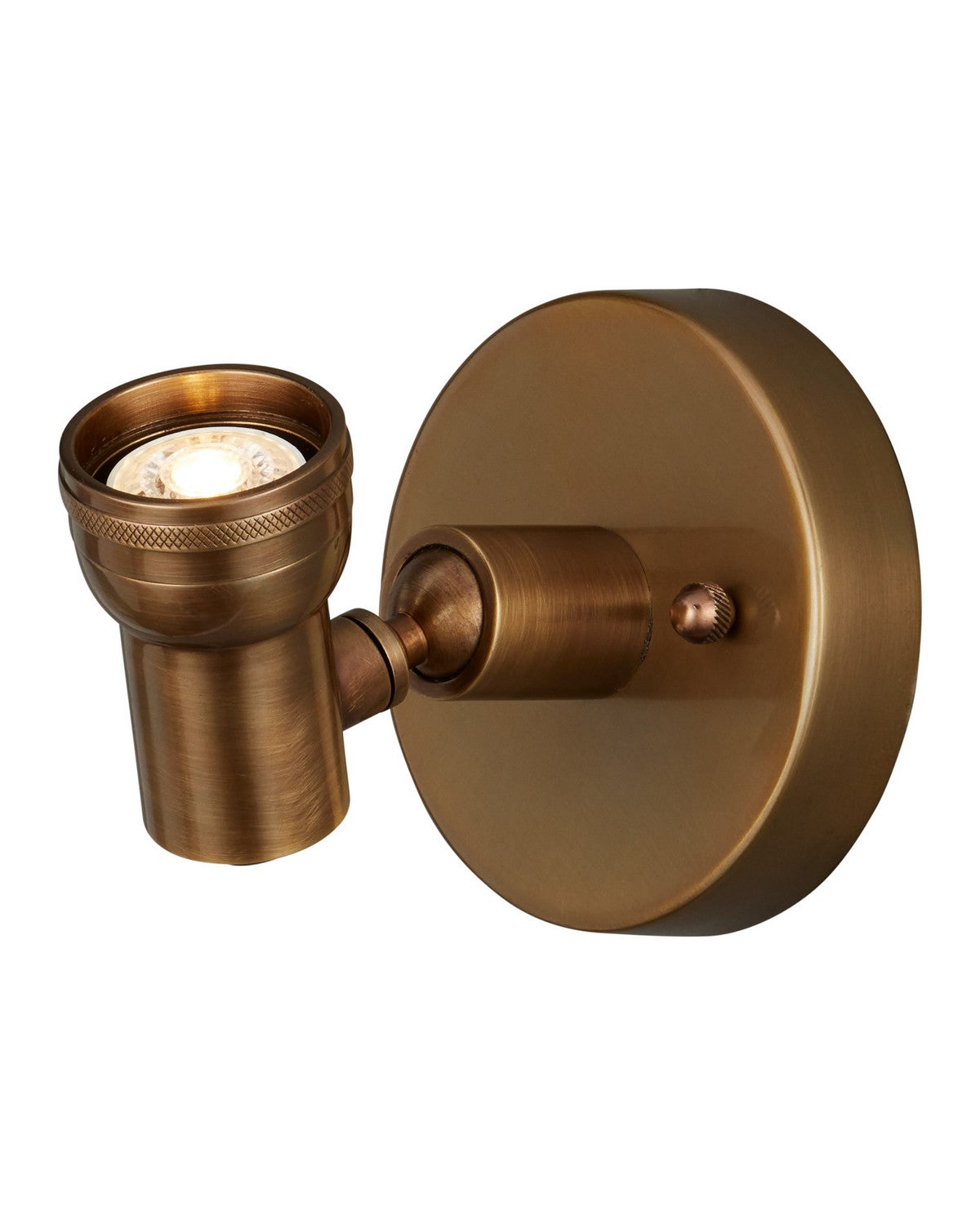 Currey and Company 5400-0004 Patterson Picture Light in Antique Brass
