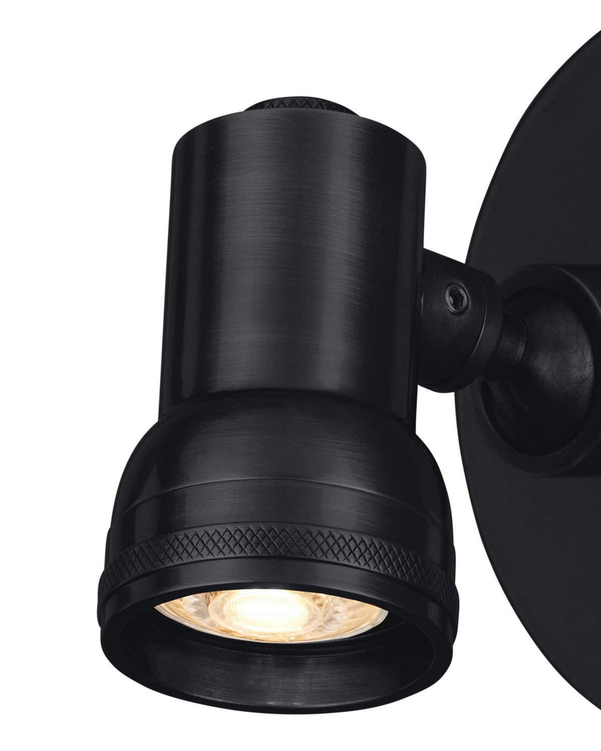 Currey and Company 5400-0006 Patterson Picture Light in Matte Black