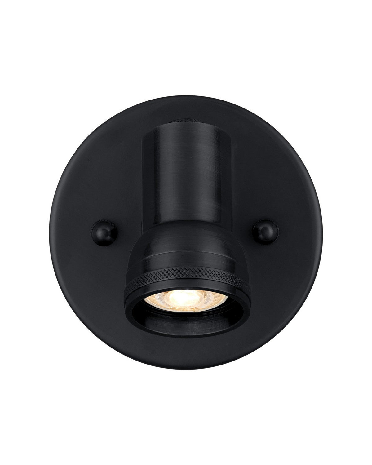 Currey and Company 5400-0006 Patterson Picture Light in Matte Black