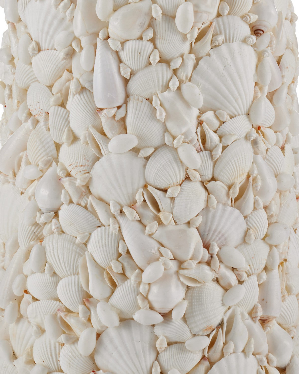 Lampadaire Turbinella Currey and Company 8000-0189 en blanc sucre/naturel