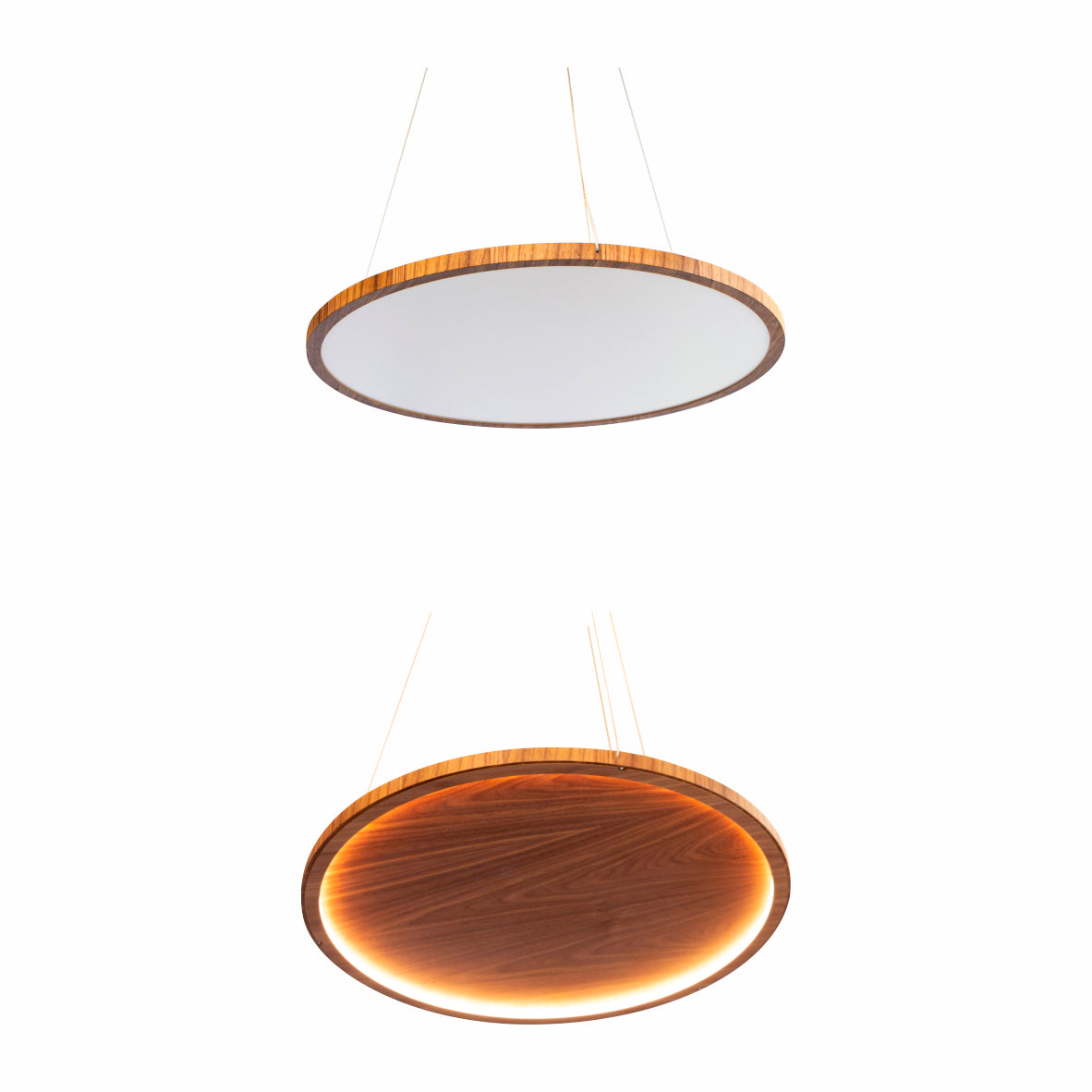 Accord Lighting 1441LED Naiá Accord Pendant
