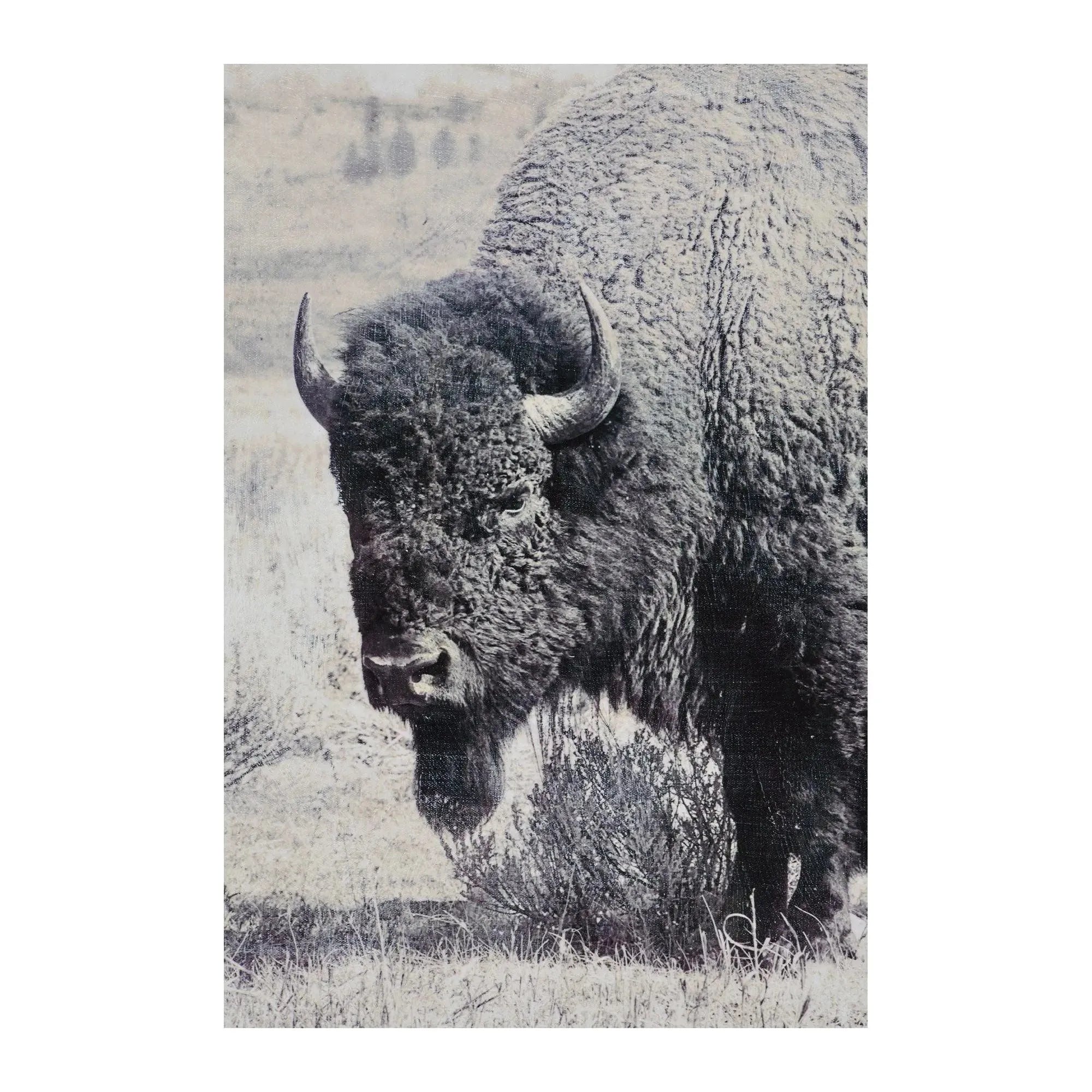 Renwil - North Range Canvas - OL1485 | Montreal Lighting & Hardware