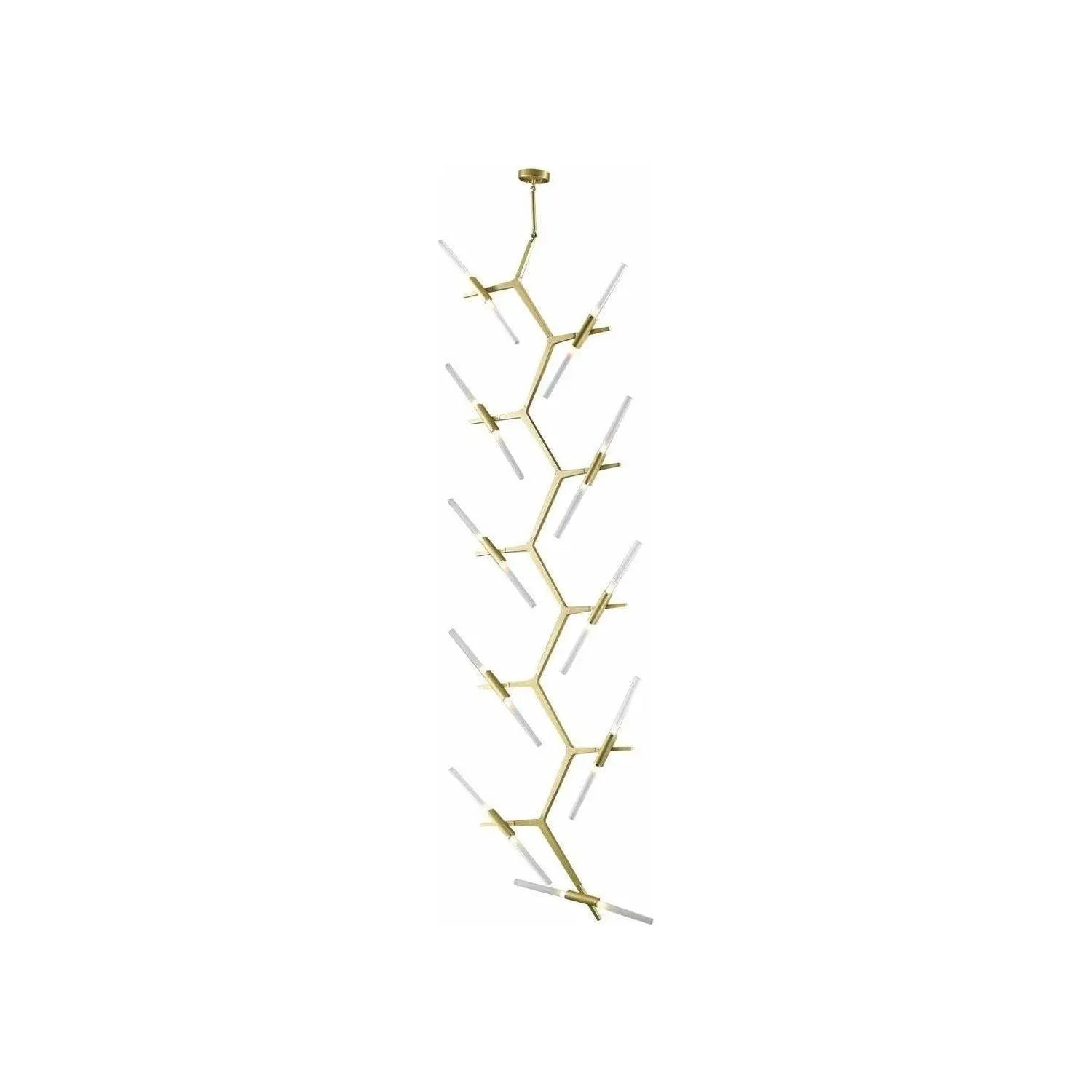 Avenue Lighting - San Vicente 20 Chandelier - HF8058-20-BB | Montreal Lighting & Hardware