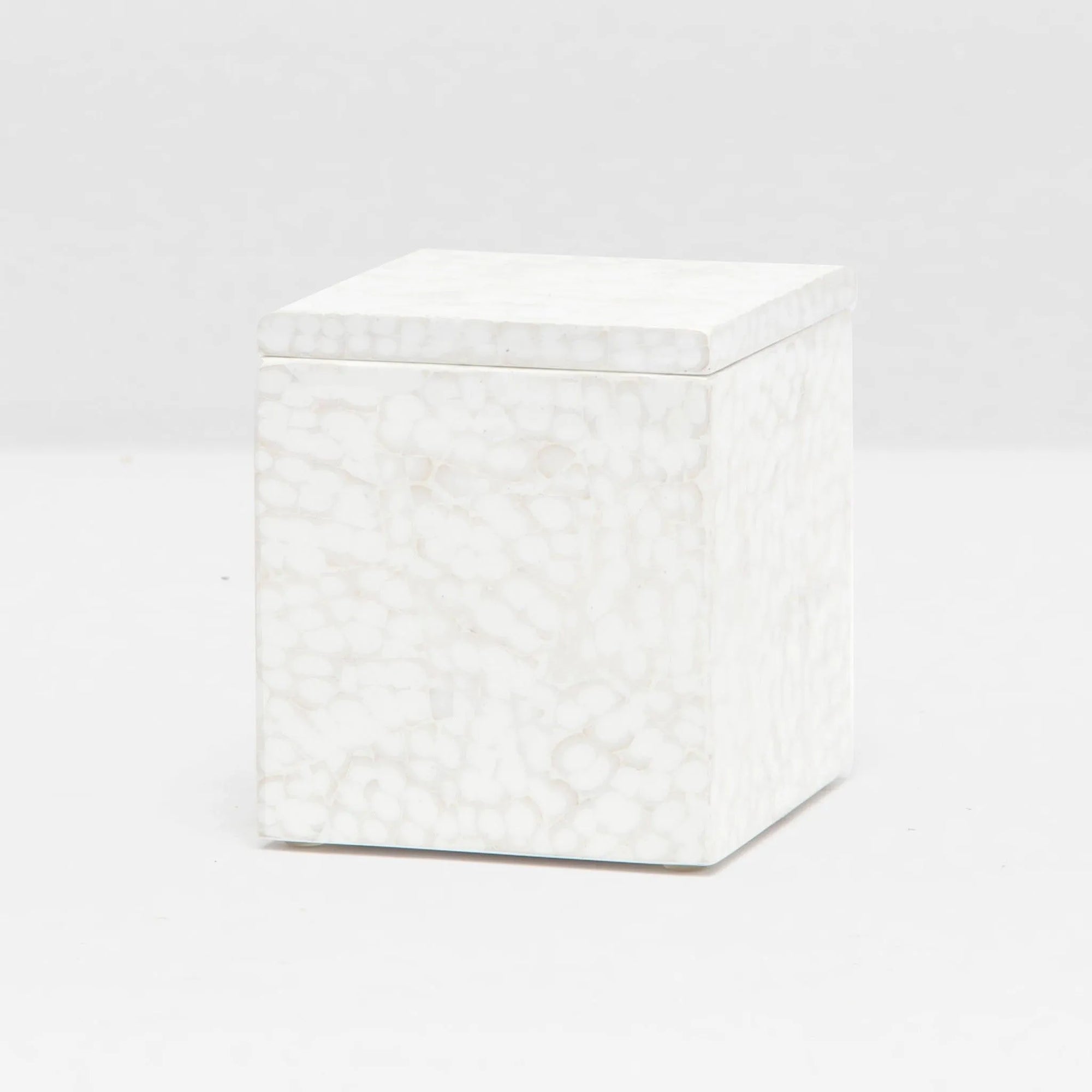 Pigeon and Poodle - PP005539 - Callas Canister - Callas - Gold/White Lacquered Eggshell