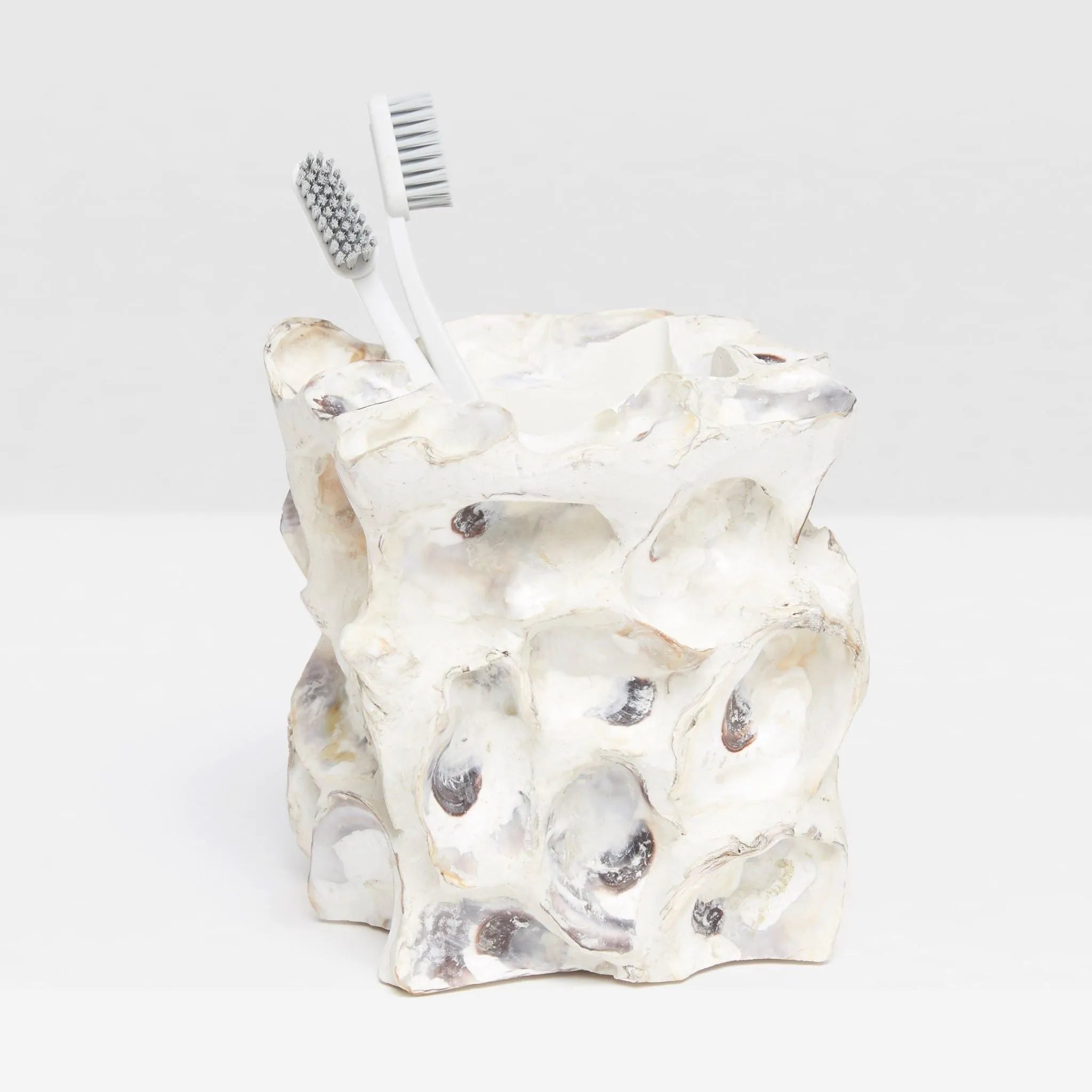 Pigeon and Poodle PP000571 Enna Brush Holder in Natural Oyster Shell
