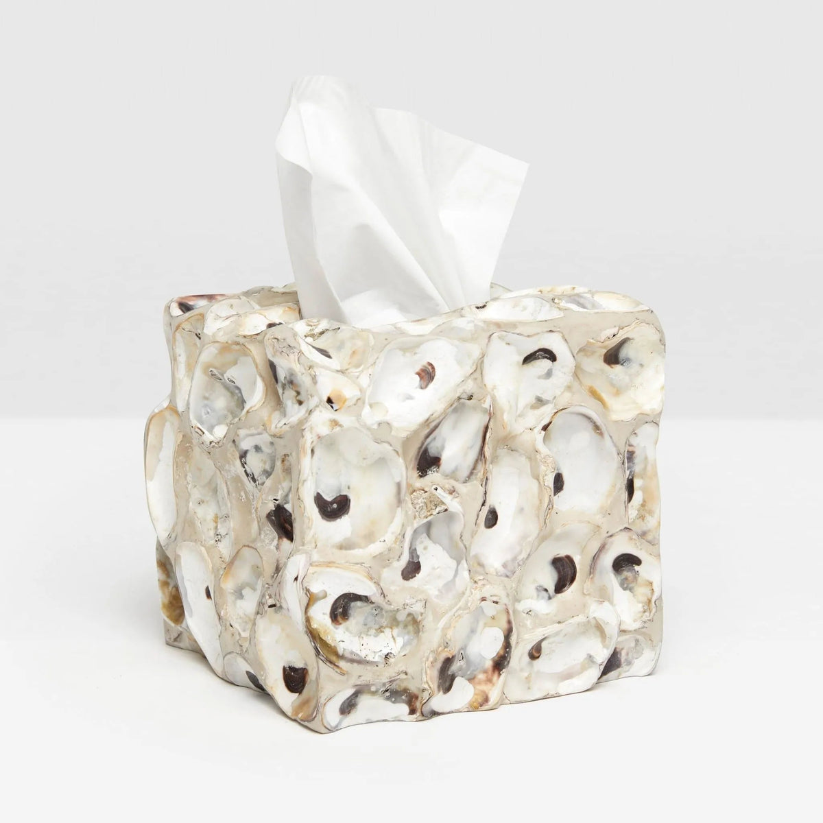Pigeon and Poodle PP000574 Enna Tissue Box in Natural Oyster Shell