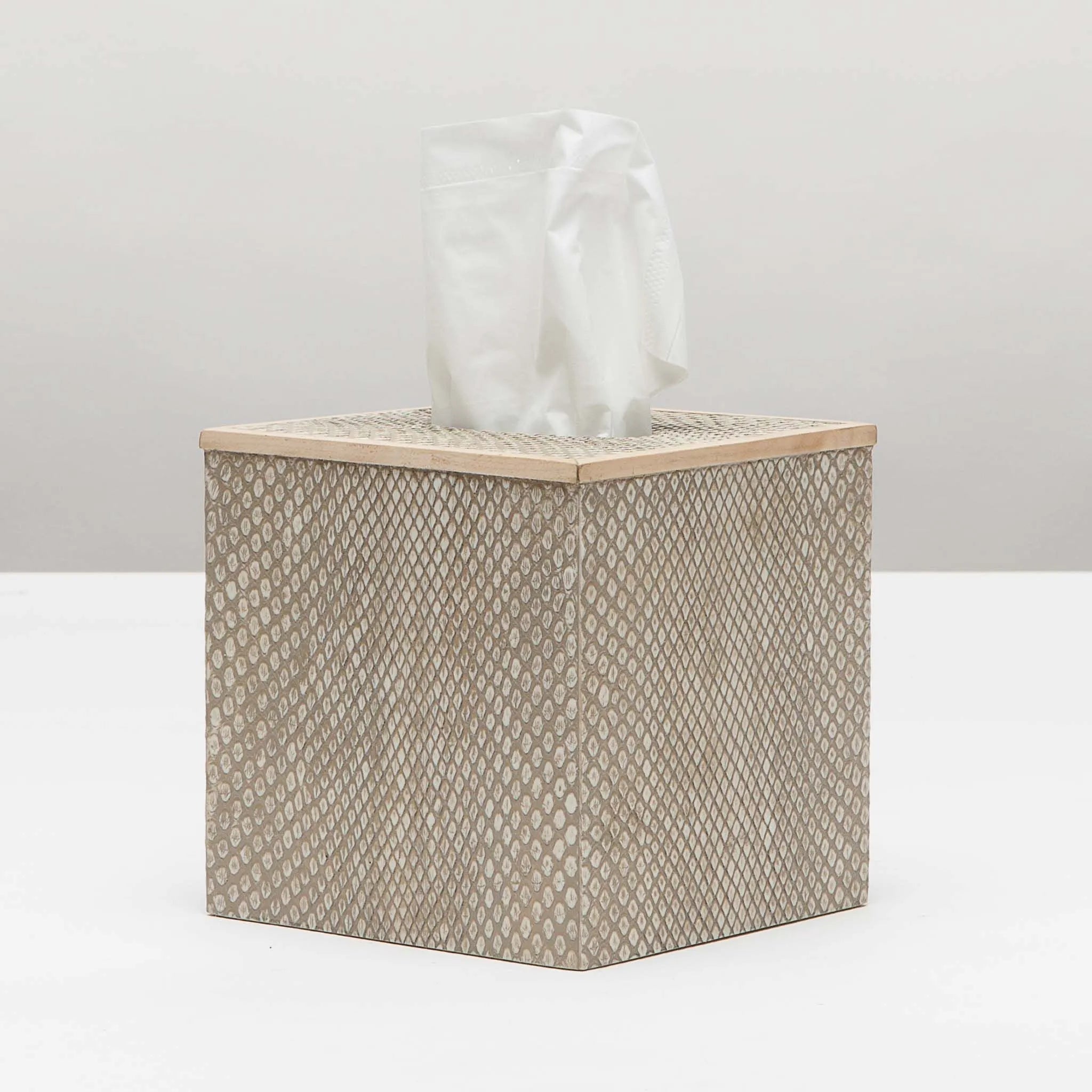 Pigeon and Poodle PP000641 Goa Tissue Box in Sand Faux Boa
