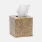 Pigeon and Poodle PP000765 Kenitra Tissue Box in Antique Brass Pitted Metal