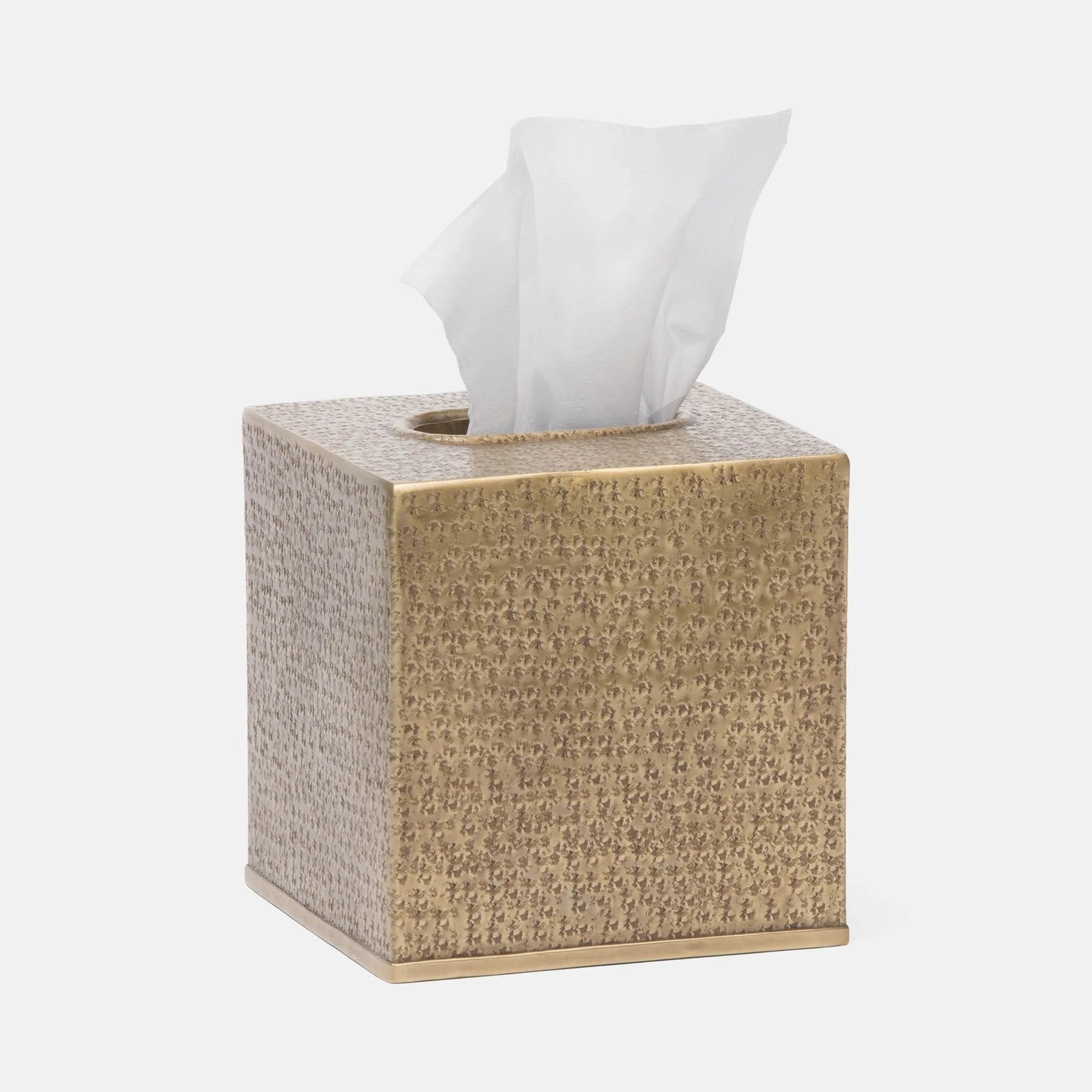 Pigeon and Poodle PP000765 Kenitra Tissue Box in Antique Brass Pitted Metal