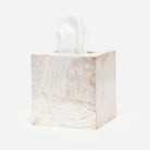 Pigeon and Poodle PP000890 Lugano Tissue Box in Kabibe Shell