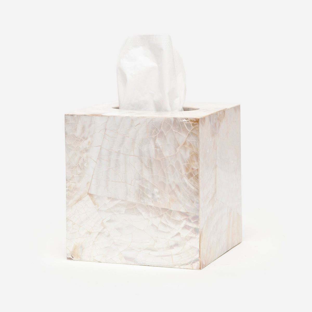 Pigeon and Poodle PP000890 Lugano Tissue Box in Kabibe Shell