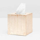 Pigeon and Poodle PP001435 Tanlay Tissue Box in Lacquered Silver Leaf