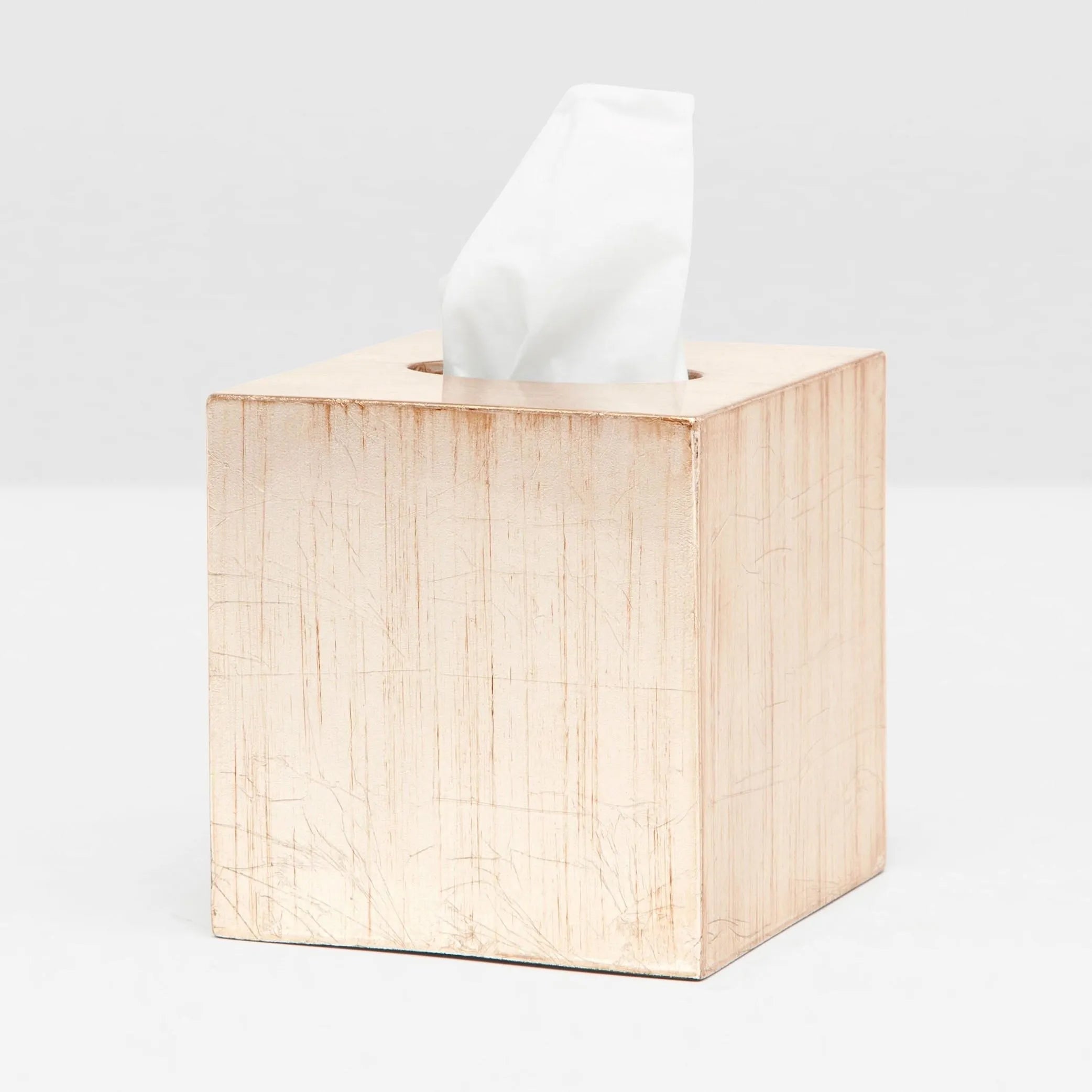 Pigeon and Poodle PP001435 Tanlay Tissue Box in Lacquered Silver Leaf