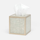 Pigeon and Poodle PP001590 Waterford Tissue Box in Gray Strips Painted Mirror