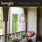 Ampoule LED LumiGlo E12T62245CL-6 Hinkley Lighting (Accessoires)