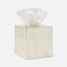 Pigeon and Poodle PP007271 Davos Tissue Box in Champagne Gold Silver Leaf