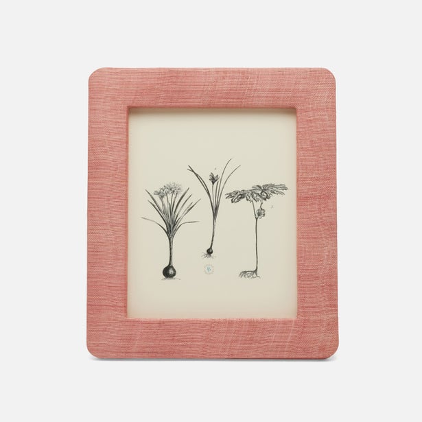 Halle Frame Collection