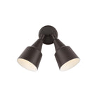 Generation Lighting Canada - 8560702-71 - Two Light Adjustable Swivel Flood Light - Flood Light - Antique Bronze
