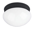 Éclairage Maxim 5880WTBK Essentiels Plafonnier (3) en noir